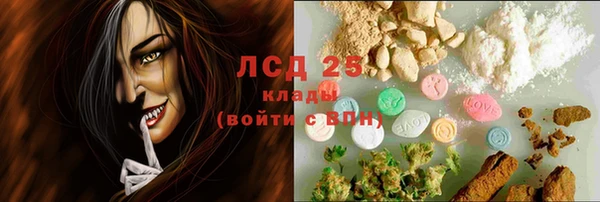 хмурый Верея