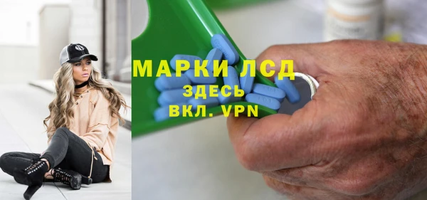 хмурый Верея