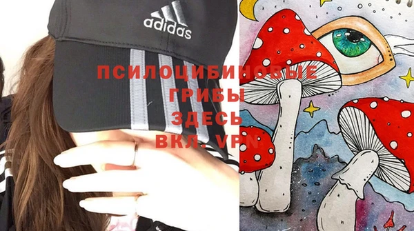 хмурый Верея