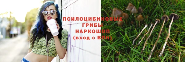 СК Верхнеуральск