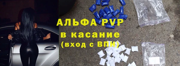 хмурый Верея