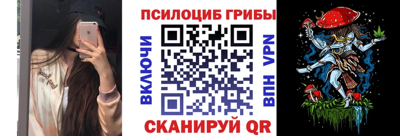 Купить закладки  Пучеж  Псилоцибиновые грибы Psilocybe 